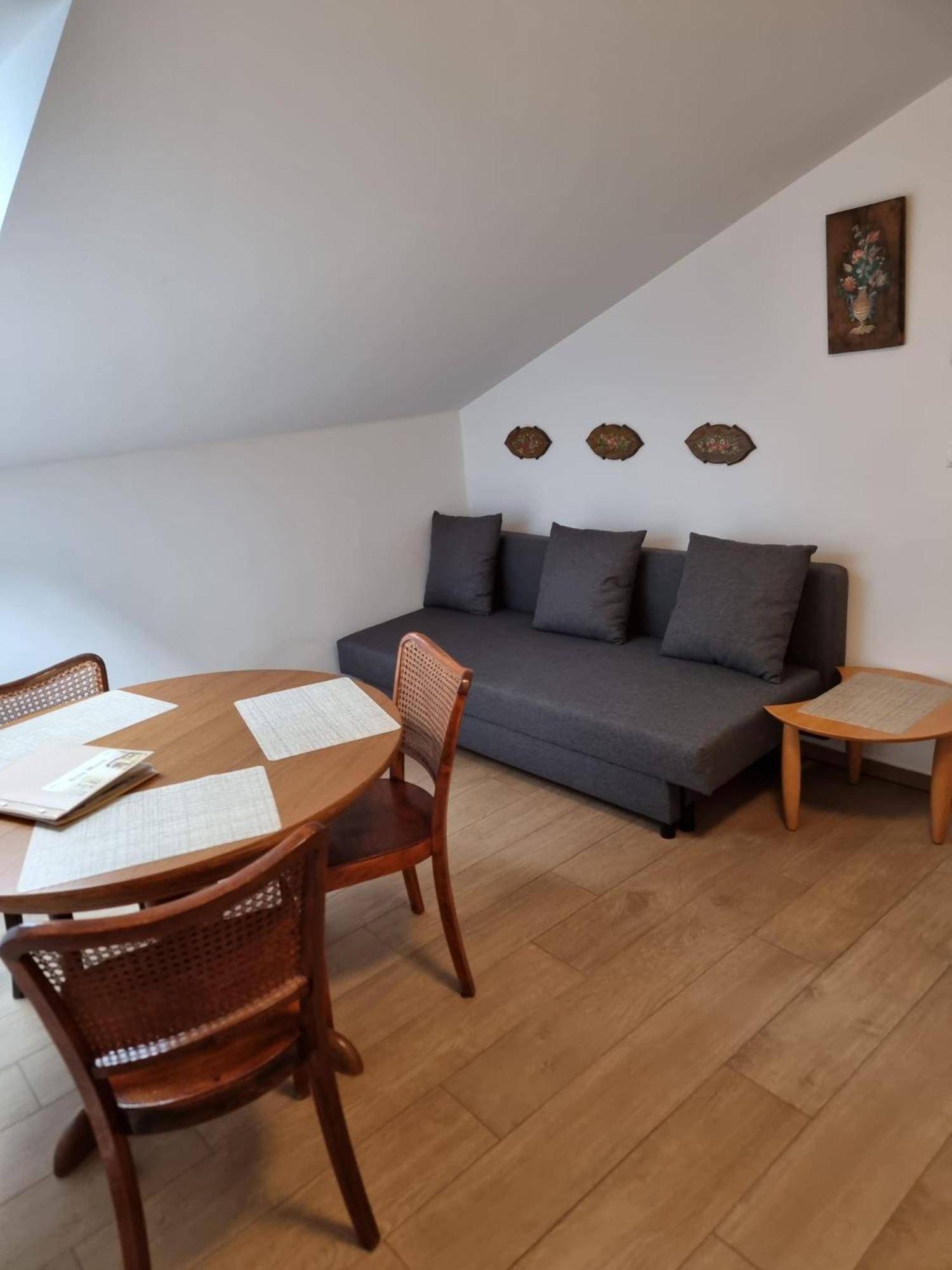 Villa Musik - Historical Apartments In بادن المظهر الخارجي الصورة