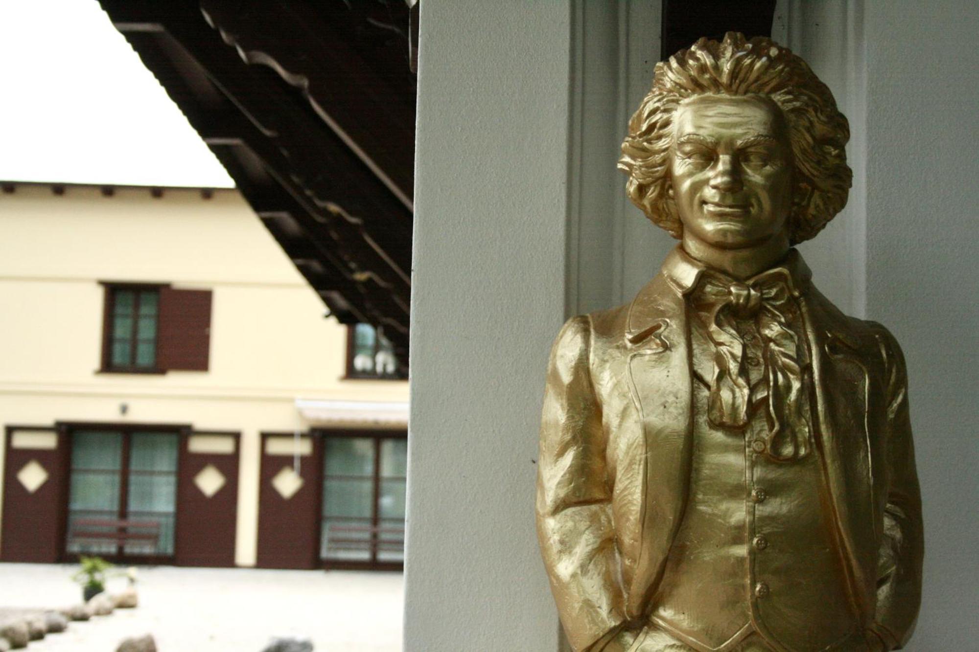 Villa Musik - Historical Apartments In بادن المظهر الخارجي الصورة